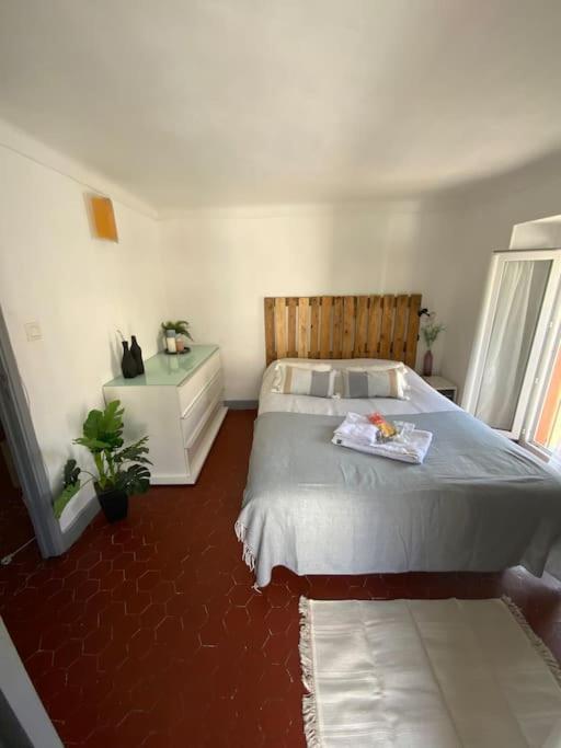 Appartement Typique Nicois En Plein Centre Ville Nizza Kültér fotó